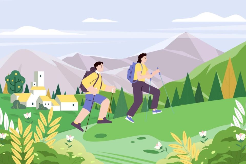 报名条件, 供信息, om 报名条件, 供信息, om